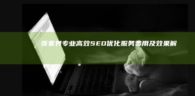 张家界专业高效SEO优化服务费用及效果解析